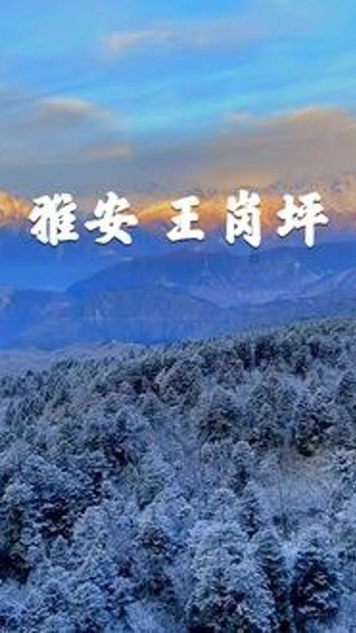 产销量连续九年位居全球第一——中国新能源汽车在海外市场受欢迎